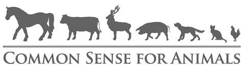 Common sense for animals - Common Sense for Animals is a New Jersey non-profit animal welfare organization. Our on-premise no-kill animal shelter rescues 1,500 animals a year, and we are building a new shelter that will ... 